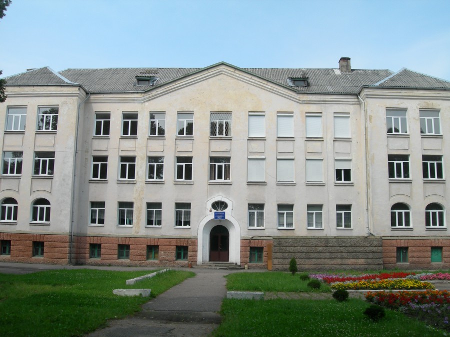 Укажите название организации.